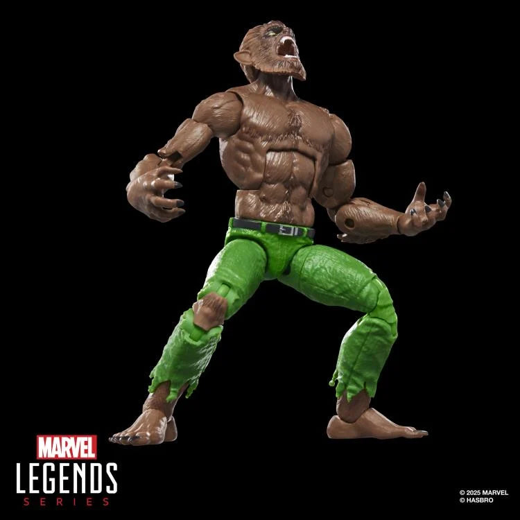 🔥PRESALE🔥Werewolf By Night Marvel Legends Werewolf By Night Action Figure (Executioner BAF) (Hasbro)