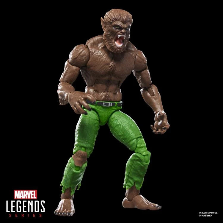 🔥PRESALE🔥Werewolf By Night Marvel Legends Werewolf By Night Action Figure (Executioner BAF) (Hasbro)