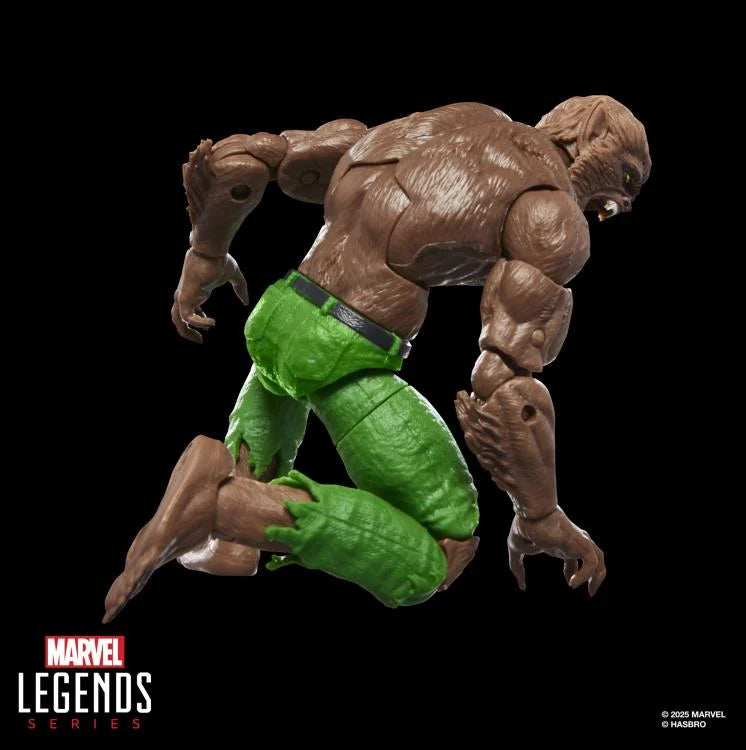 🔥PRESALE🔥Werewolf By Night Marvel Legends Werewolf By Night Action Figure (Executioner BAF) (Hasbro)