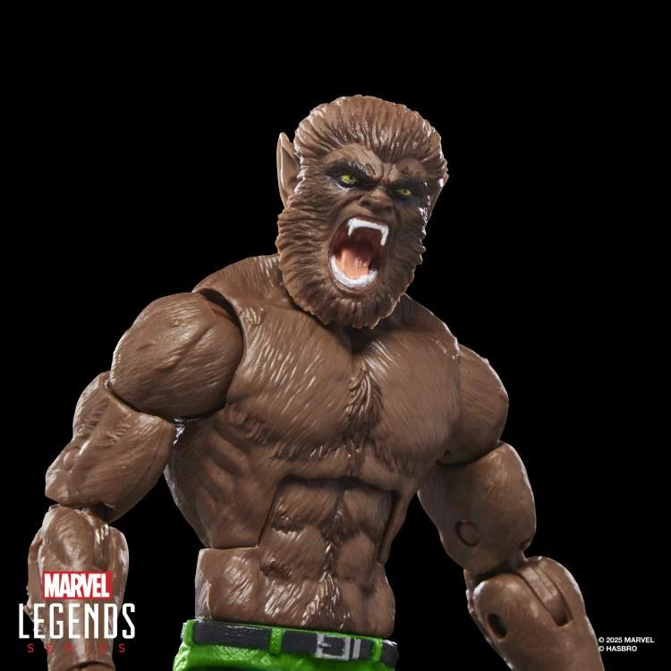 🔥PRESALE🔥Werewolf By Night Marvel Legends Werewolf By Night Action Figure (Executioner BAF) (Hasbro)