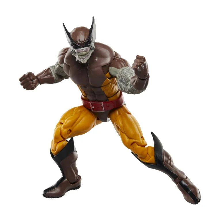 Wolverine 50th Anniversary Marvel Legends Wolverine and Lilandra Neramani Action Figure Two-Pack (Hasbro)