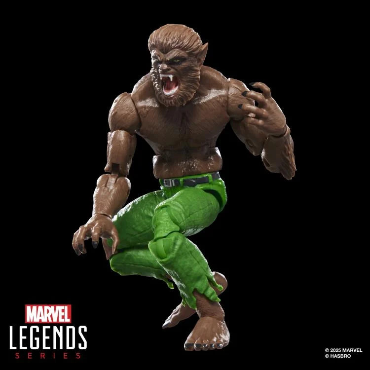 🔥PRESALE🔥Werewolf By Night Marvel Legends Werewolf By Night Action Figure (Executioner BAF) (Hasbro)