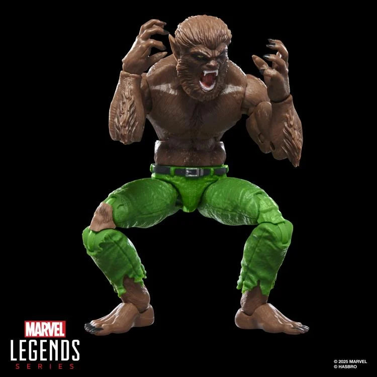 🔥PRESALE🔥Werewolf By Night Marvel Legends Werewolf By Night Action Figure (Executioner BAF) (Hasbro)